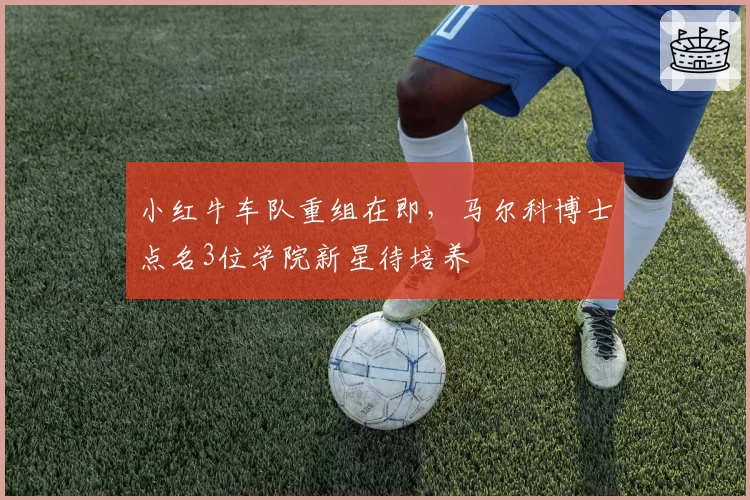 小红牛车队重组在即,马尔科博士点名3位学院新星待培养