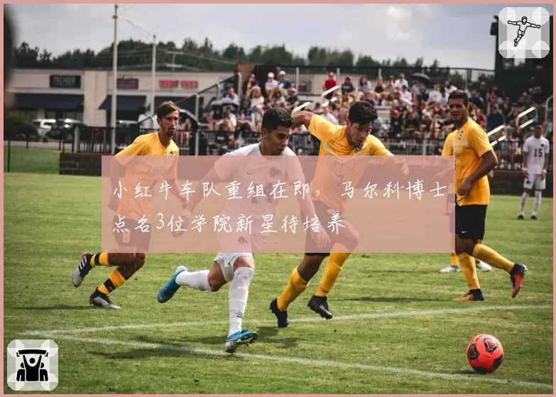 小红牛车队重组在即,马尔科博士点名3位学院新星待培养